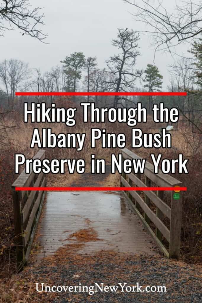 Albany Pine Bush Preserve in New York