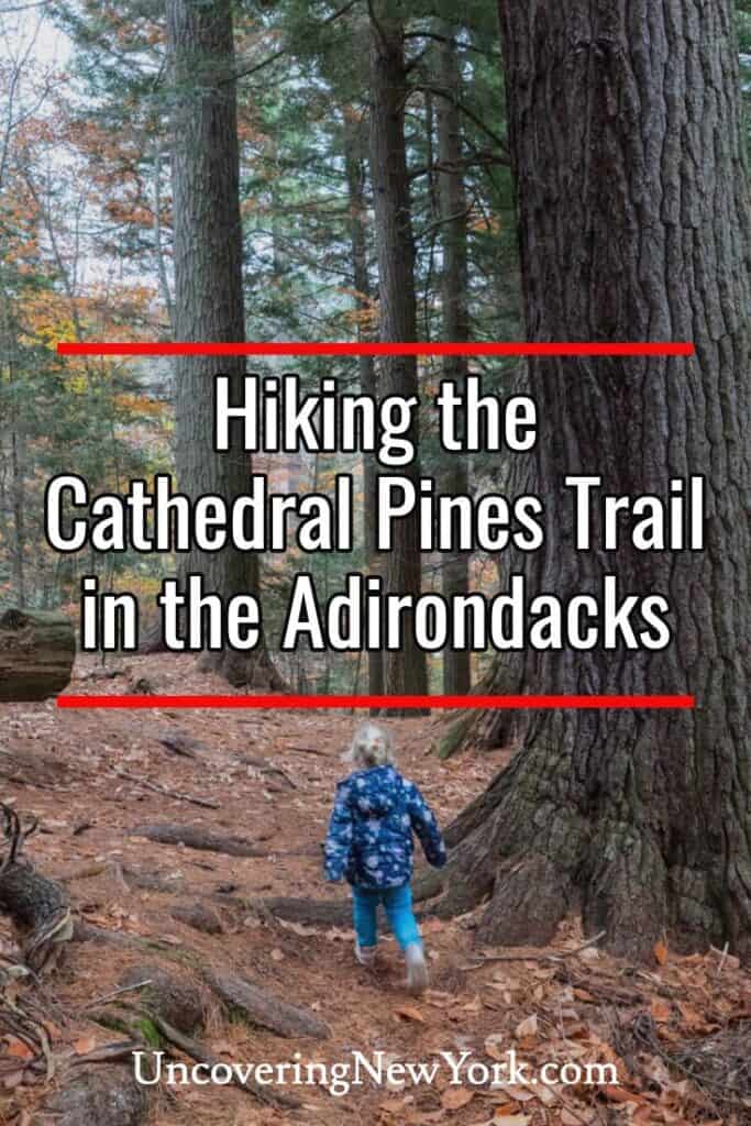 Cathedral Pines Trail in the Adirondacks of New York