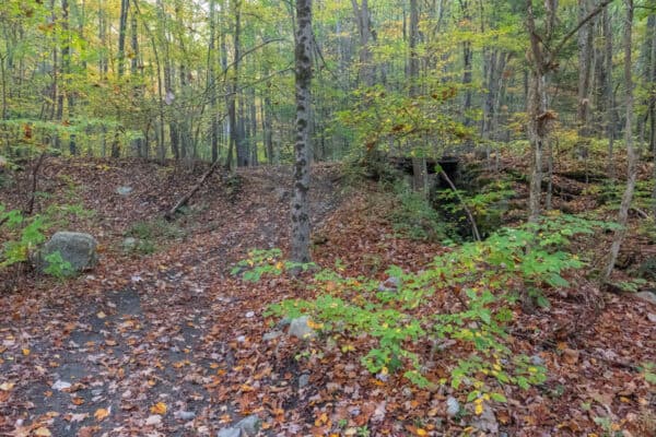 Trail to Horseshoe Mine Falls in Shawangunk Ridge State Forest in Ulster County NY