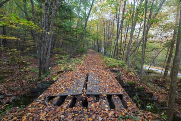 O& W Rail Trail in Ulster County NY