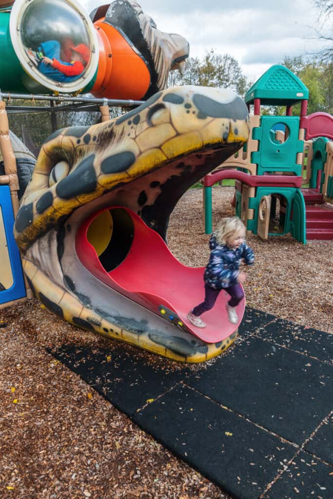 Family Fun at the Utica Zoo Uncovering New York