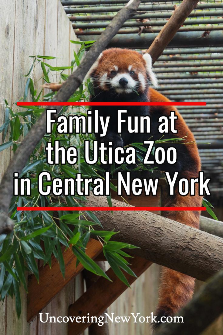 Family Fun at the Utica Zoo Uncovering New York