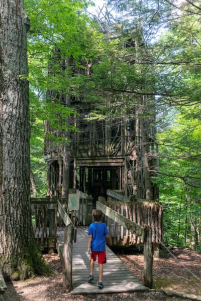 Boy walking towards the treehouse at the Cayuga Nature Center near Ithaca NY