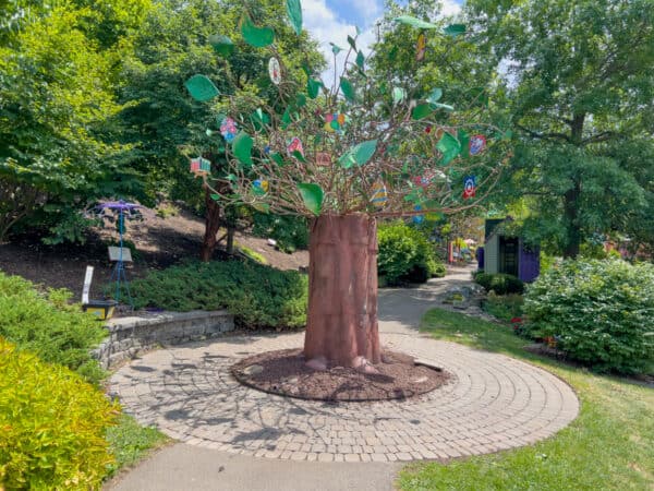 Tree in the Discovery Garden in Binghamton's Ross Park