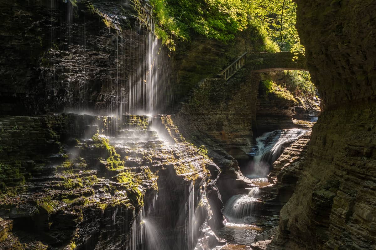 are dogs allowed in watkins glen state park