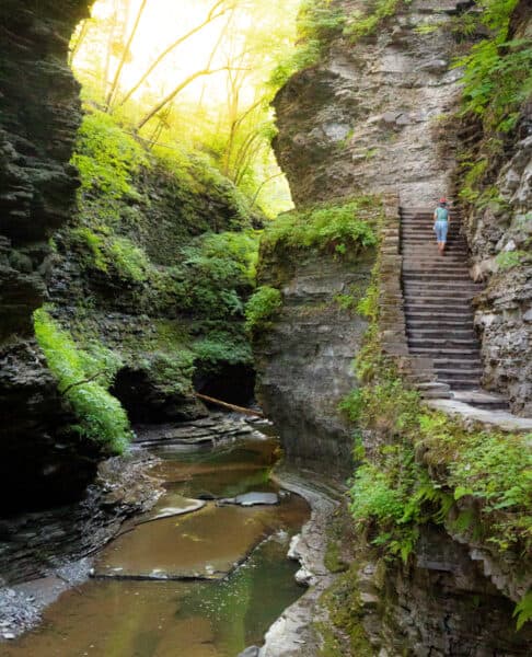 Steps inside the Gorge Trail at Watkins Glen State Park in NY