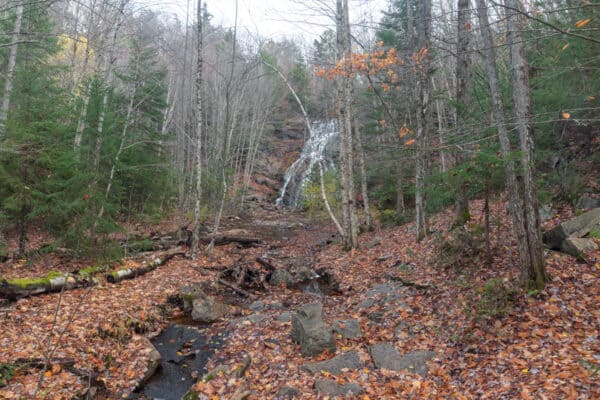 Looking towards Death Brook Falls in the Adirondacks