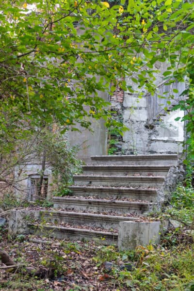 Mansion staircase in Franny Reese State Park.