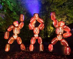 Is It Worth Attending the Great Jack O’Lantern Blaze in the Hudson Valley?