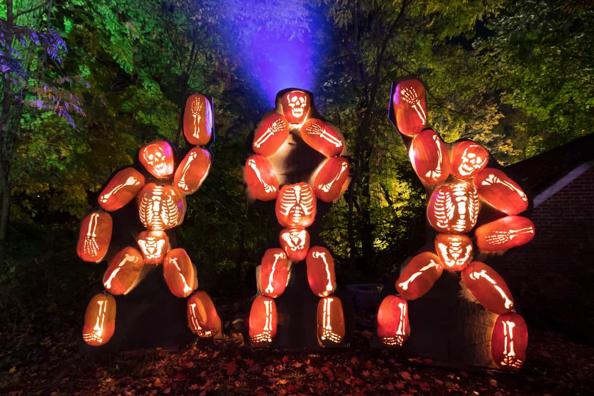 Is It Worth Attending The Great Jack O Lantern Blaze In The Hudson 