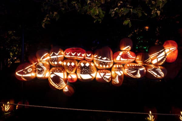 Fish pumpkin at the Great Jack O'Lantern Blaze in New York