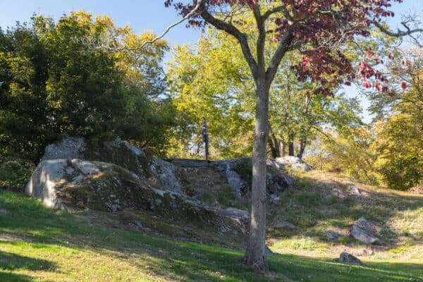 Trees and boulders at Stony Point in Rockland County NY