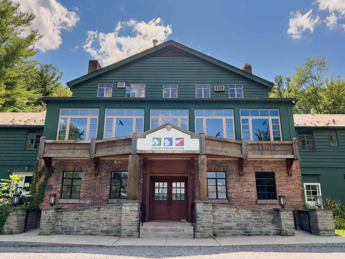 Hiking to the SixStory Treehouse at the Cayuga Nature Center Near
