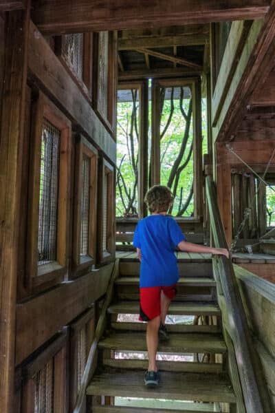 Boy climbing in the treehouse at the Cayuga Nature Center in Ithaca NY