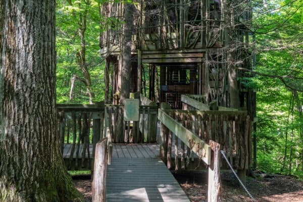 The treehouse at the Cayuga Nature Center in Ithaca, NY