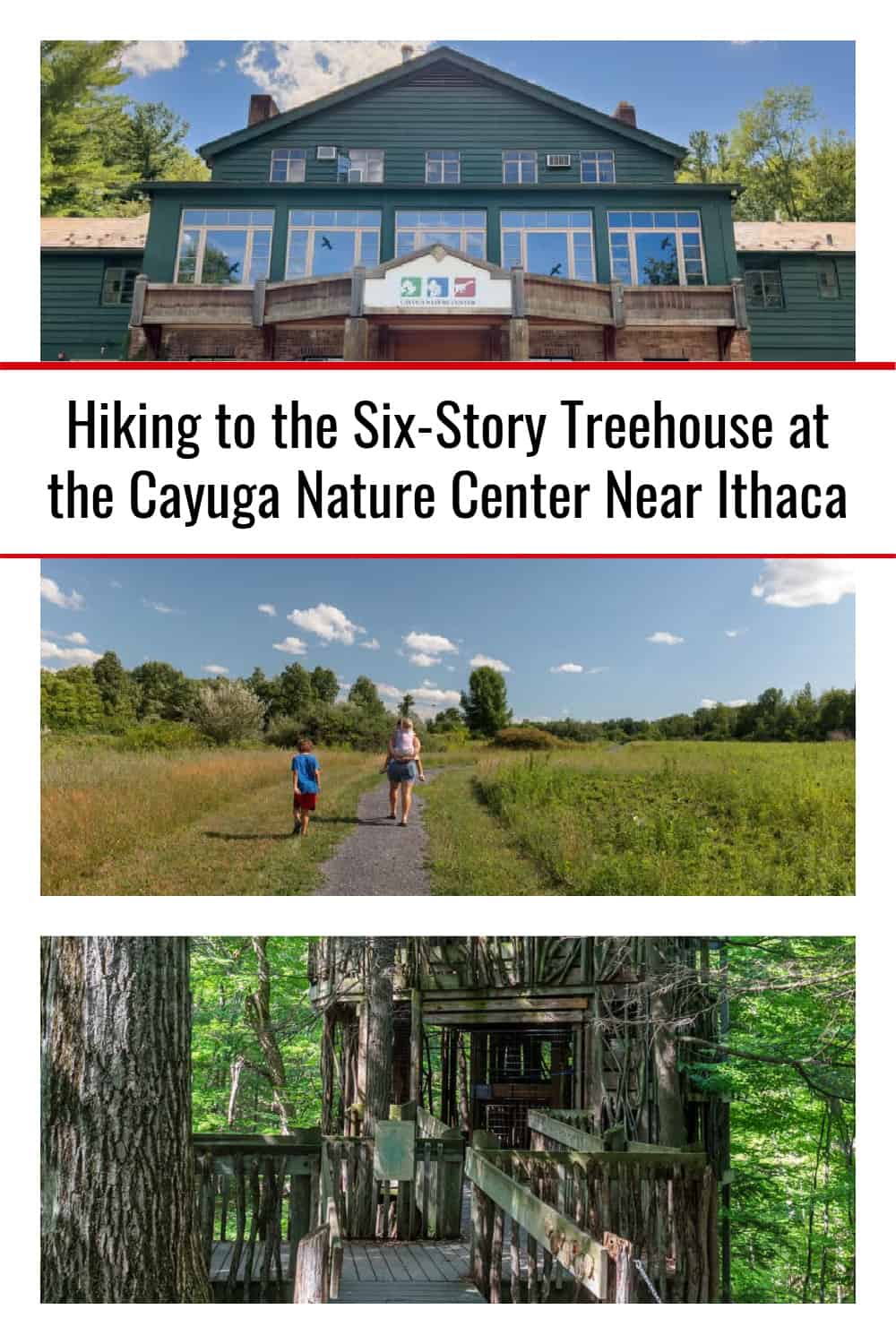 Hiking to the SixStory Treehouse at the Cayuga Nature Center Near