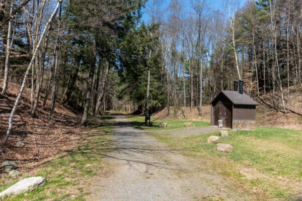 Trailhead for Tree Identification Trail in Riddell State Park near Cooperstown NY