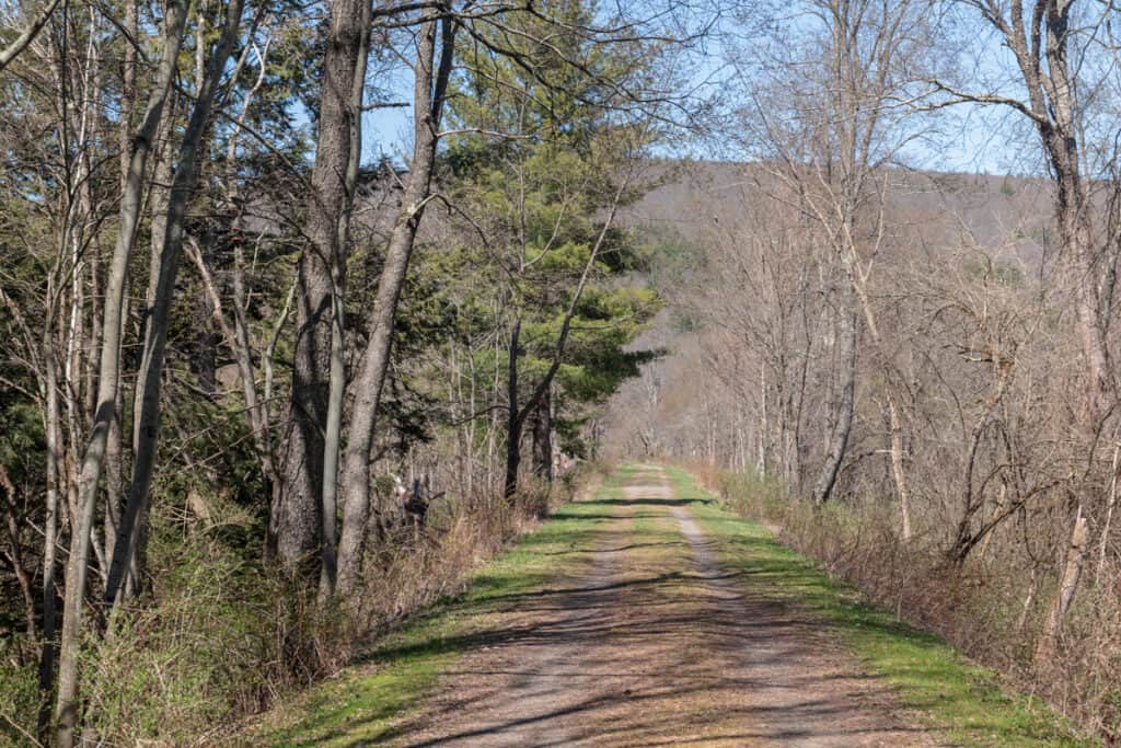 Hiking in Robert V. Riddell State Park in Otsego County, NY ...