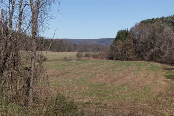 Field in Robert Riddell State Park near Cooperstown New York