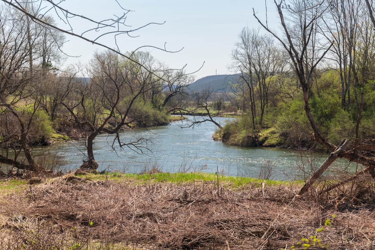 Stream flows through Robert V Riddell State Park in Otsego County NY