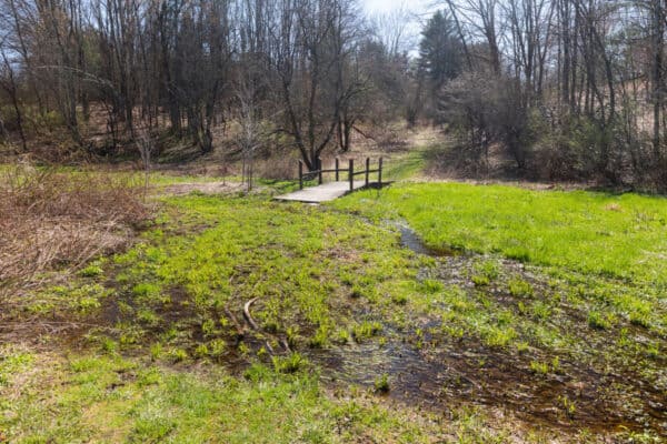 Bridge in a water logged field in Riddell State Park in New York