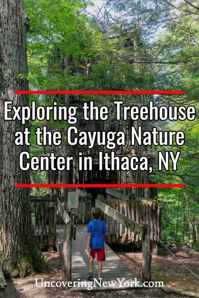 Treehouse at the Cayuga Nature Center in Ithaca, New York
