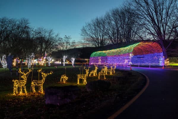 Lit reindeer and a tunnel at the Festival of Lights in Binghamton New York