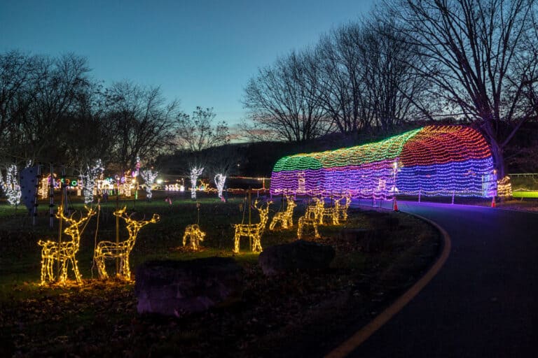 Driving Through the Broome County Festival of Lights in Binghamton