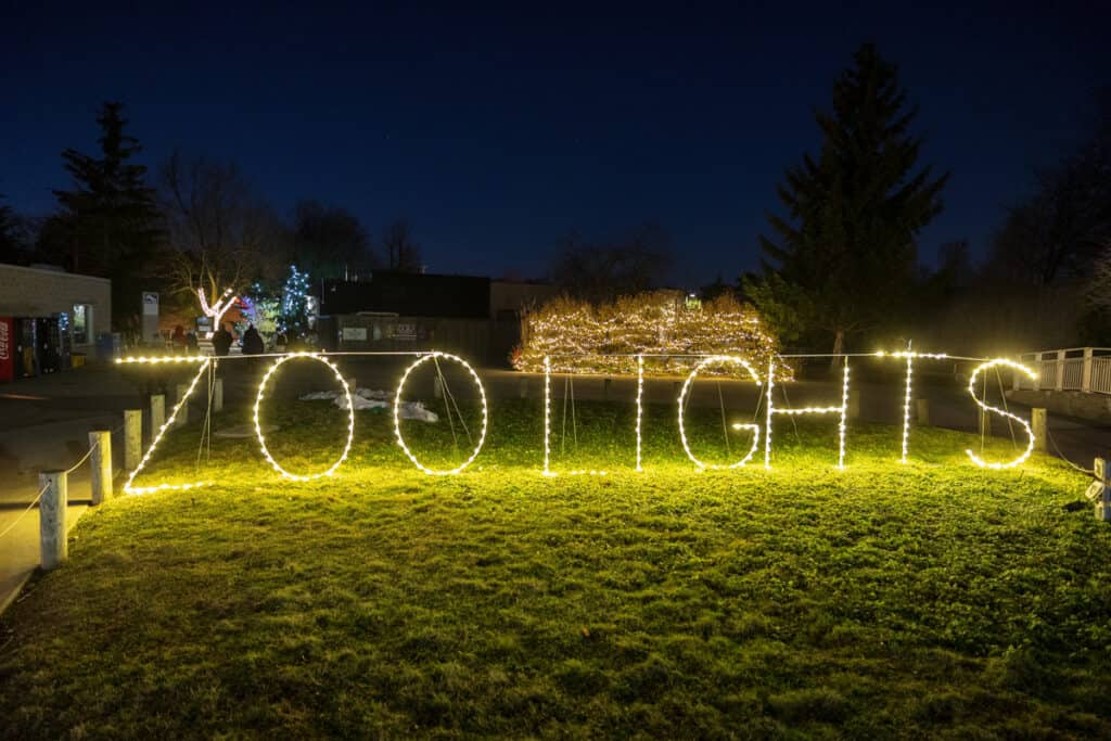 Festive Holiday Fun at Wild Winter Lights at the Buffalo Zoo