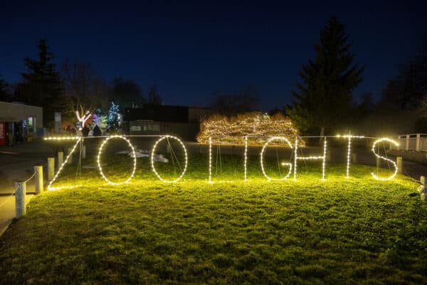 The Zoo Lights sign as you enter the Buffalo Zoo in New York.