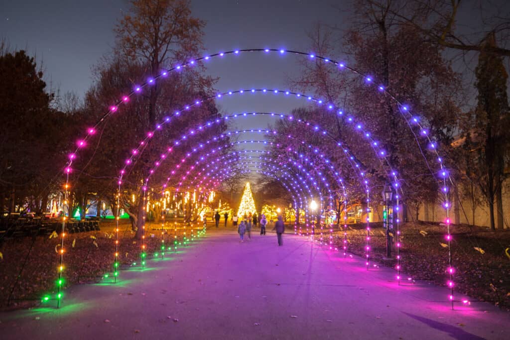 8 Festive Christmas Light Displays in Upstate New York to Visit in 2023 Uncovering New York