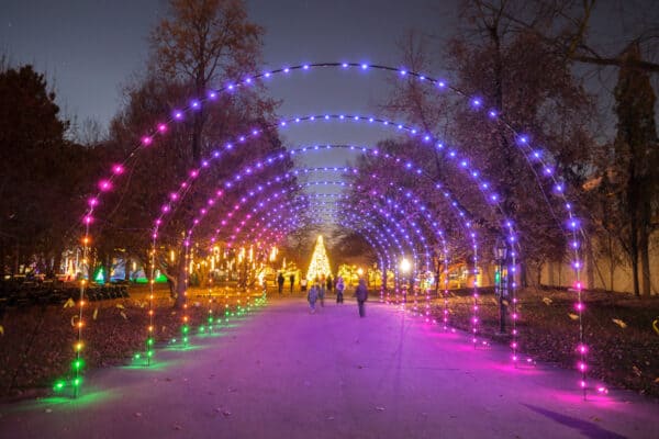 A light tunnel at Zoo Lights at the Buffalo Zoo in New York.