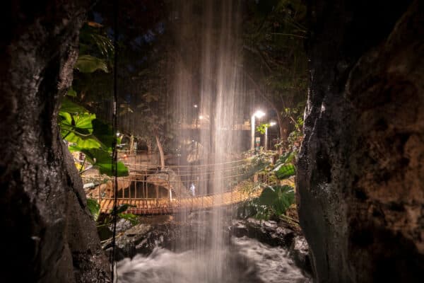 Behind the waterfall at Rainforest Falls at the Buffalo Zoo in New York.