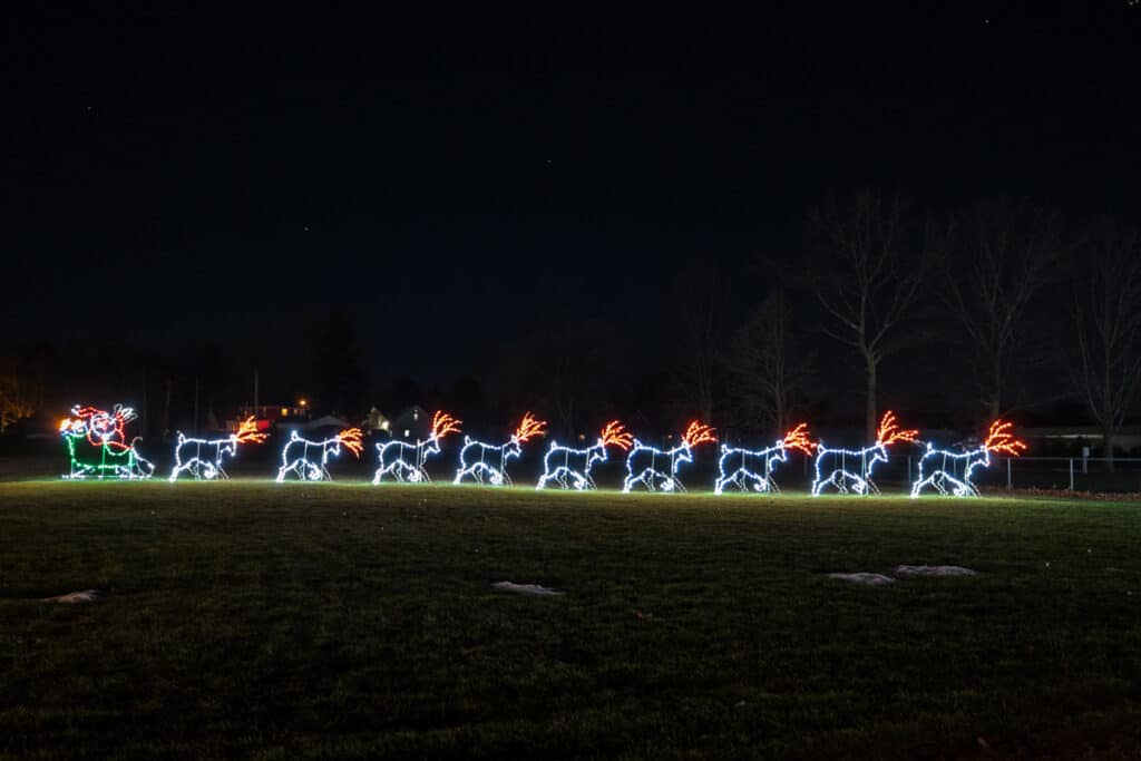 Festive Fun at the Festival of Lights near Buffalo, NY Uncovering New