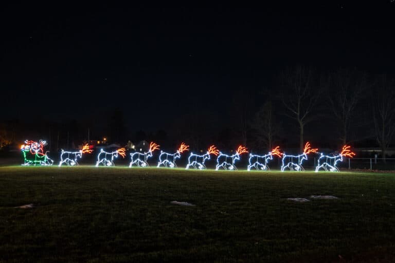 Festive Fun at the Festival of Lights near Buffalo, NY Uncovering New