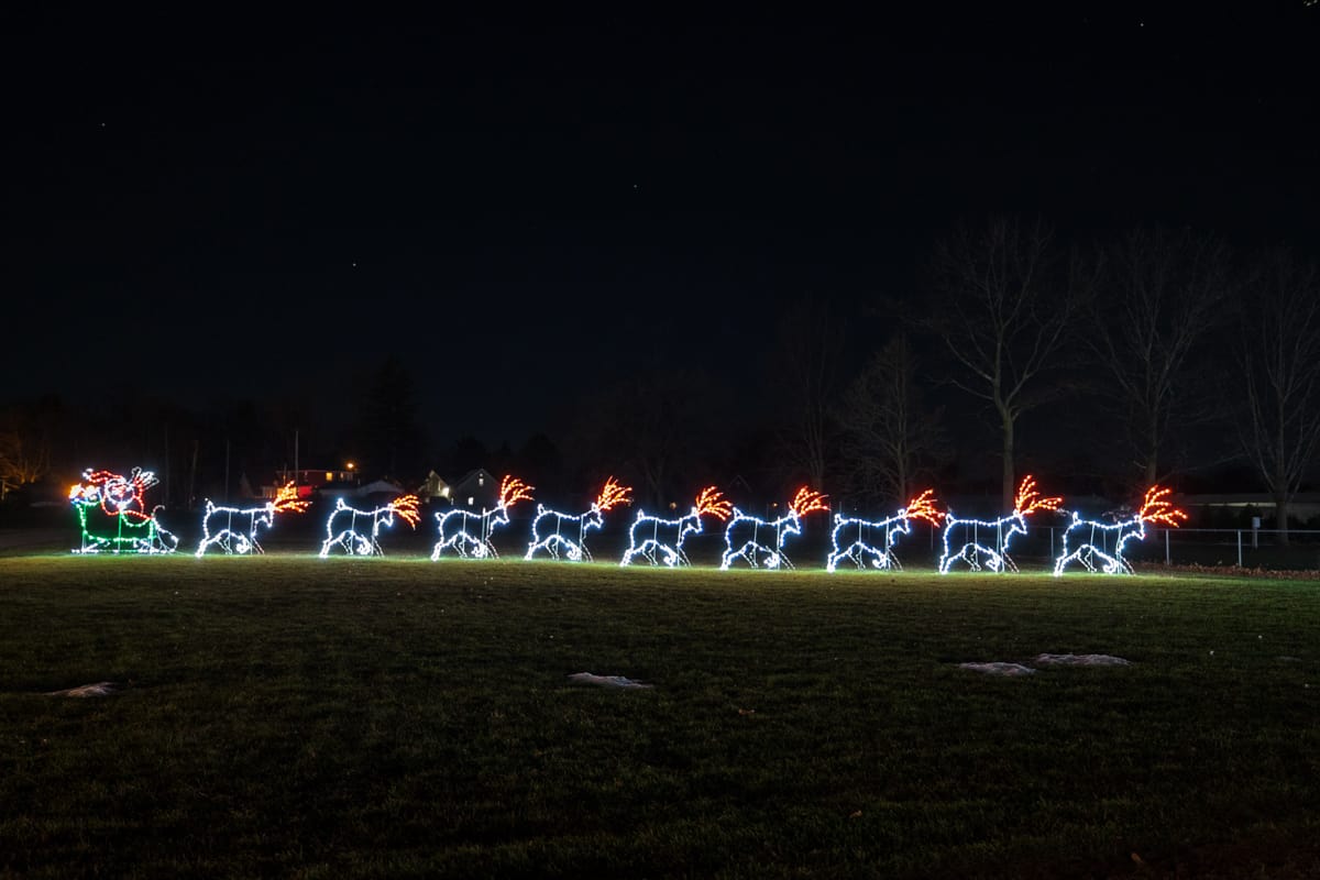 Festive Fun at the Festival of Lights near Buffalo, NY Uncovering New
