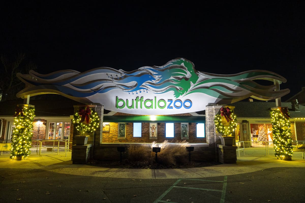 Festive Holiday Fun at Wild Winter Lights at the Buffalo Zoo Uncovering New York