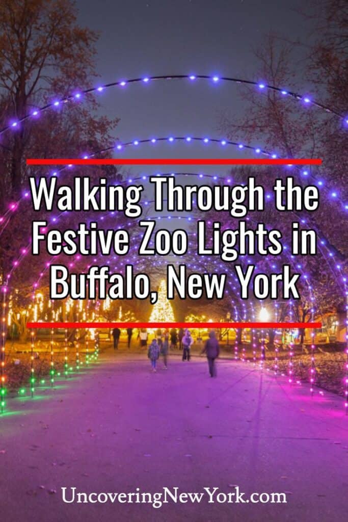 Zoo Lights in Buffalo New York