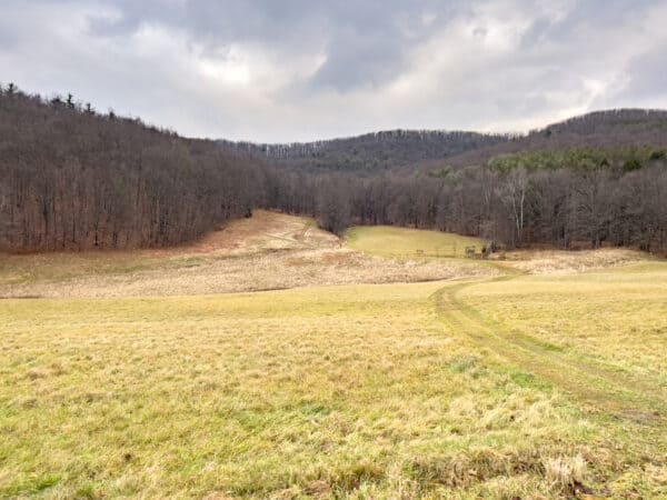 The view of the countryside from Gravity Hill in Cattaraugus County New York