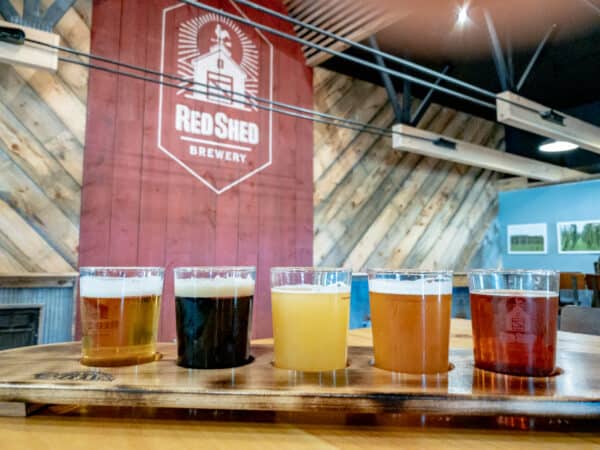 Flight of Beer from Red Shed Brewery in Cooperstown NY