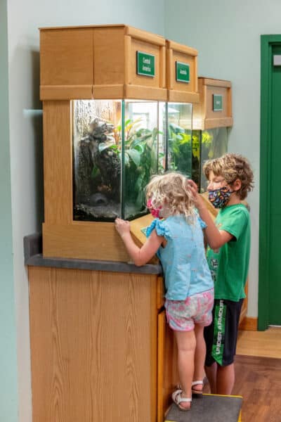 Kids looking at an animal tank at the Sciencenter in Tompkins County, NY