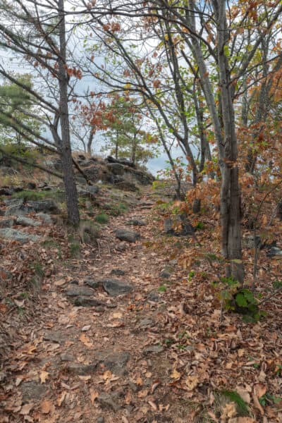 Overlook Trail at Little Stony Point in Cold Spring New York