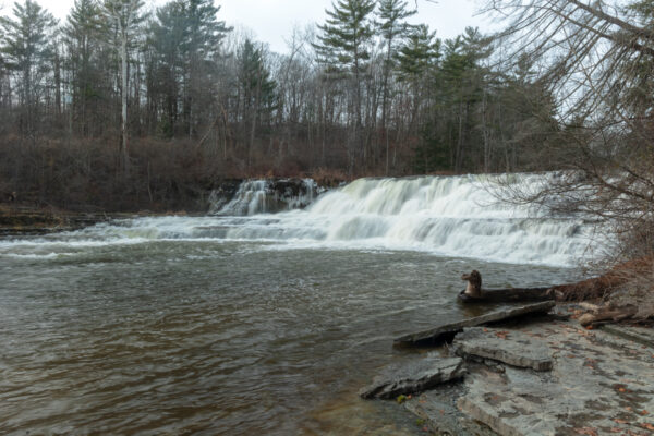 Wiscoy Falls in Allegany County NY