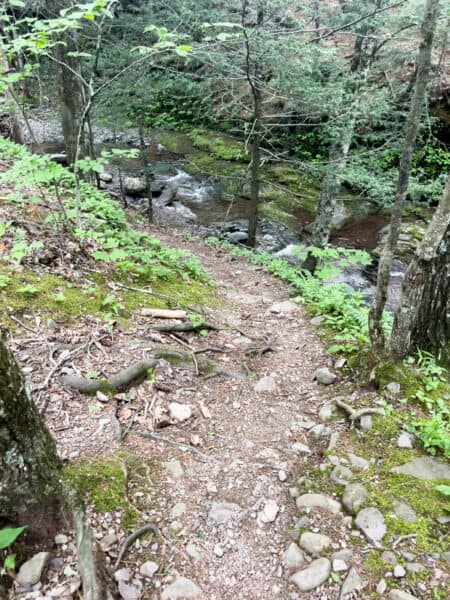 The short trail to Artist Falls in Round Top NY